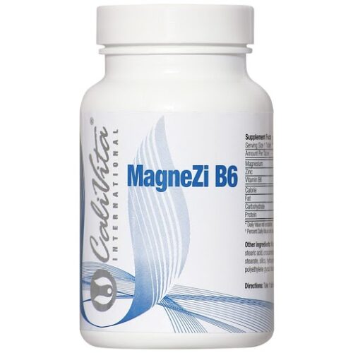 MagneZi B6